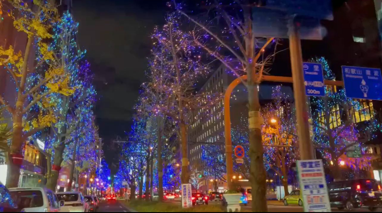 大阪城市夜景